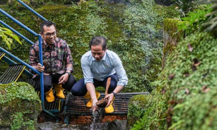 Masa Depan Sungai Jakarta: Bisakah Ekosistemnya Dipulihkan?