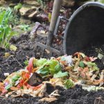 Panduan Lengkap Pembuatan Kompos Yang Efektif Dan Cepat
