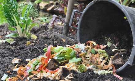 Panduan Lengkap Pembuatan Kompos Yang Efektif Dan Cepat