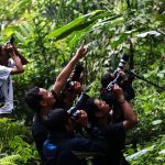 Ketika Selebriti Dunia Turun Tangan Menyelamatkan Hutan