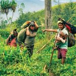Peran Masyarakat Adat Dalam Menjaga Kelestarian Hutan Papua