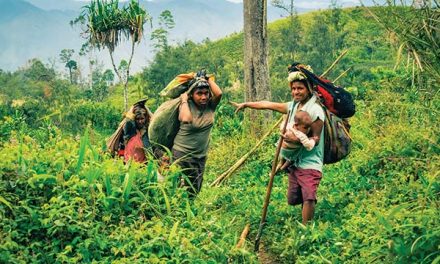 Peran Masyarakat Adat Dalam Menjaga Kelestarian Hutan Papua