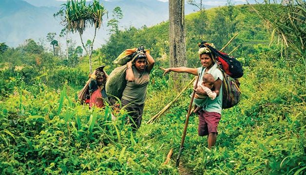 Peran Masyarakat Adat Dalam Menjaga Kelestarian Hutan Papua