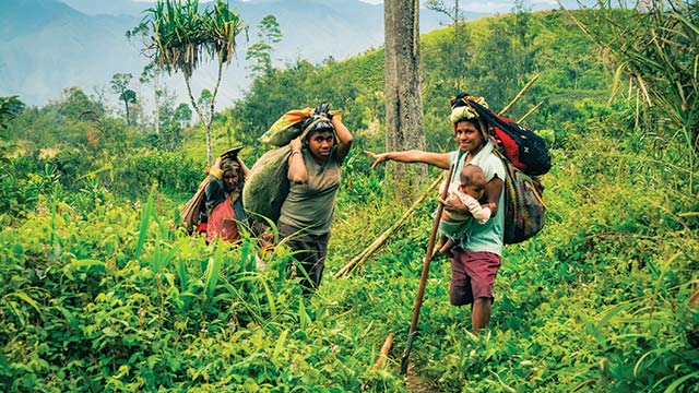 Peran Masyarakat Adat Dalam Menjaga Kelestarian Hutan Papua