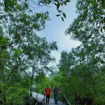 Potensi Ekowisata Di Kawasan Mangrove
