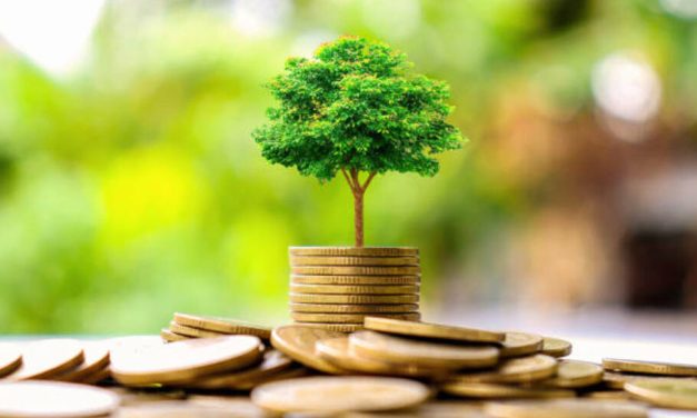 Tren Investasi Anak Muda: Saham, Crypto, Atau Deposito?