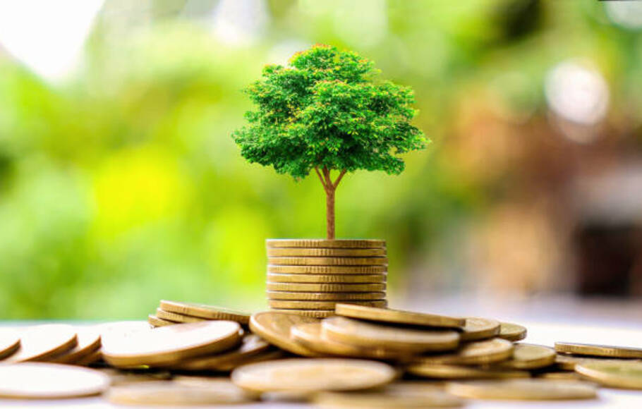 Tren Investasi Anak Muda: Saham, Crypto, Atau Deposito?