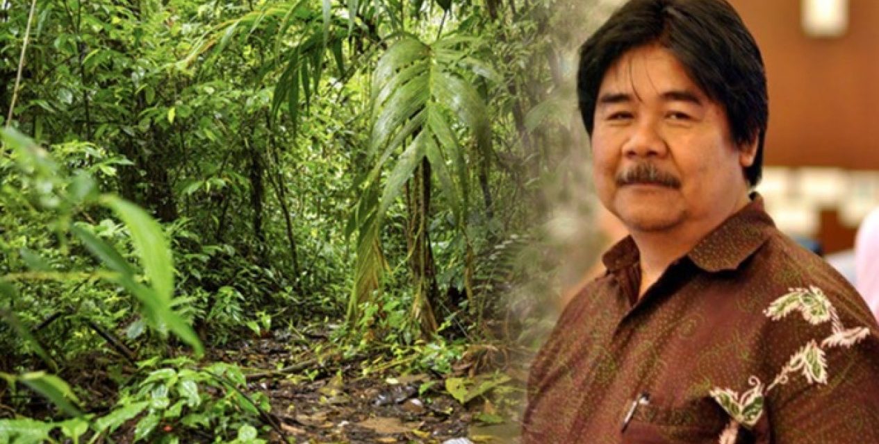 Peran Hutan Tropis Indonesia Dalam Menyelamatkan Iklim Dunia