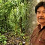 Peran Hutan Tropis Indonesia Dalam Menyelamatkan Iklim Dunia
