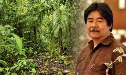 Peran Hutan Tropis Indonesia Dalam Menyelamatkan Iklim Dunia