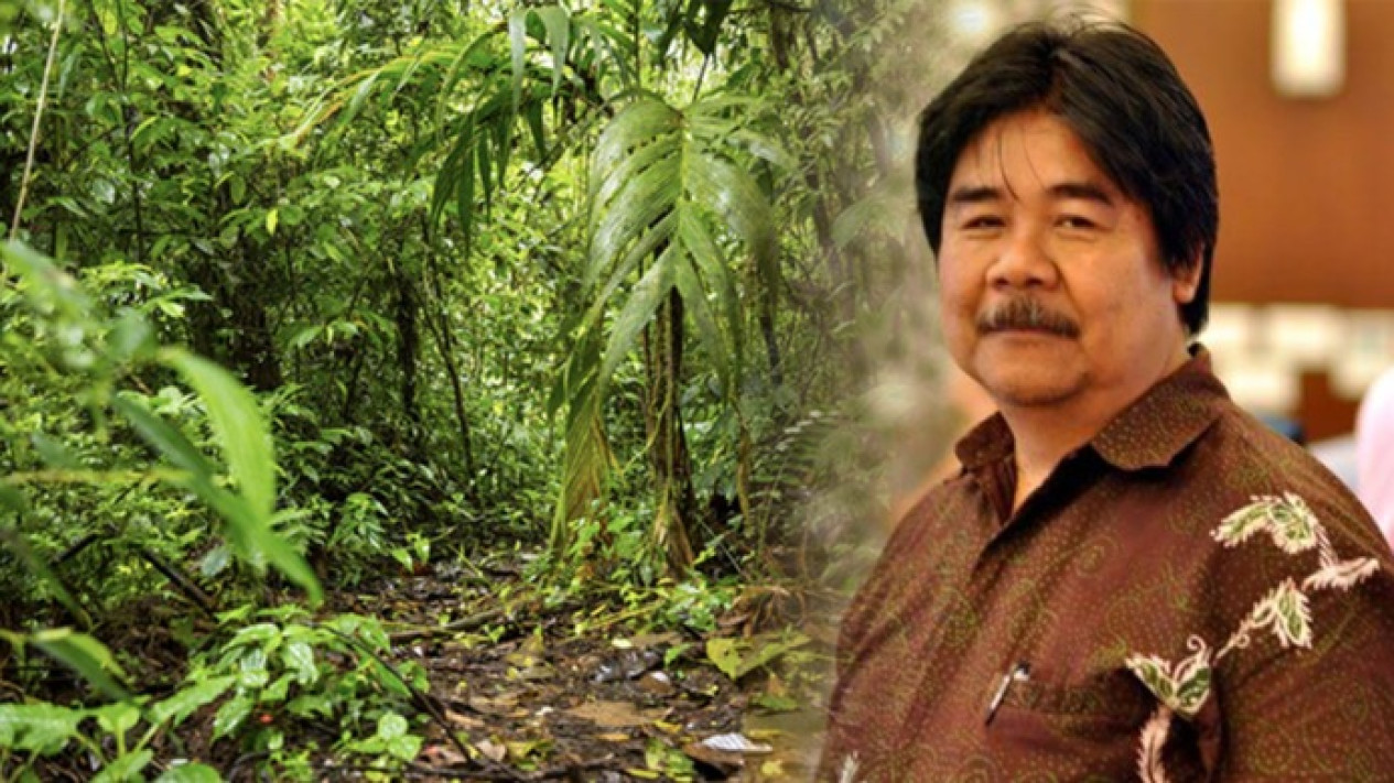 Peran Hutan Tropis Indonesia Dalam Menyelamatkan Iklim Dunia