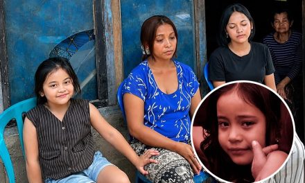 Kisah Anak Pencuri Ayam: Pelajaran Tentang Kemiskinan Ekonomi