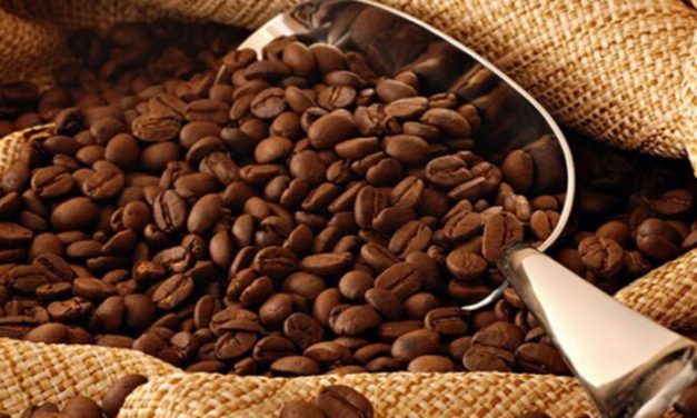 Kopi Gayo: Mengenal Cita Rasa Dan Keunikan Kopi Asal Aceh