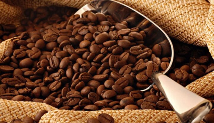 Kopi Gayo: Mengenal Cita Rasa Dan Keunikan Kopi Asal Aceh