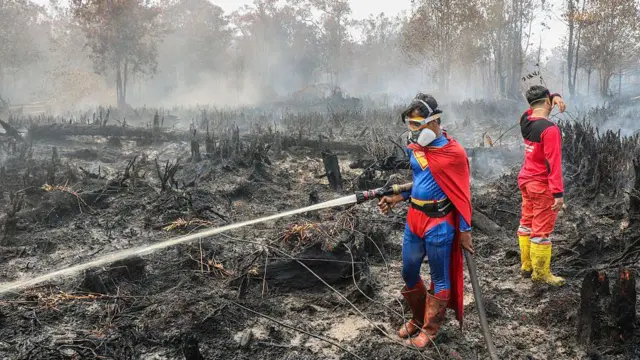 Kebakaran Kalimantan Meluas: Ancaman Hutan Dan Lingkungan